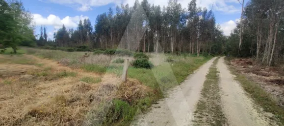 Grundstück in Aveiro, Portugal, Nr. 89411 3