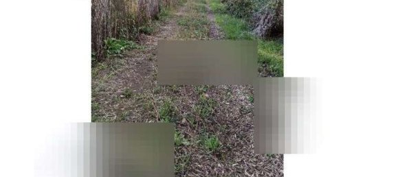 Terreno en Pomezia, Italy 43077 m² No. 44095 6