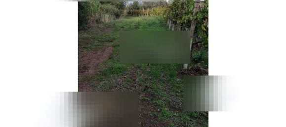 Terreno en Pomezia, Italy 43077 m² No. 44095 5