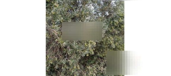 Terreno en Pomezia, Italy 43077 m² No. 44095 4