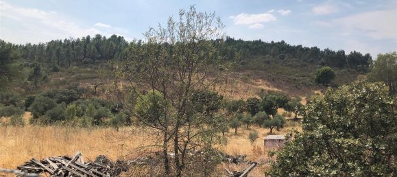 Grundstück in Idanha a Nova, Portugal 3000m², Nr. 309564 2