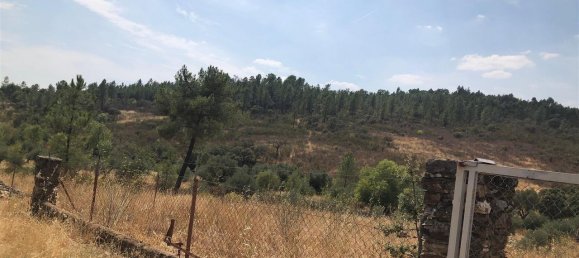 Grundstück in Idanha a Nova, Portugal 3000m², Nr. 309564 4