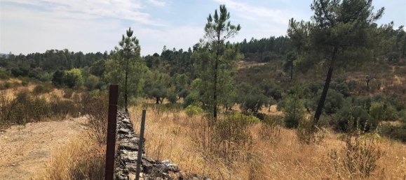 Grundstück in Idanha a Nova, Portugal 3000m², Nr. 309564 3