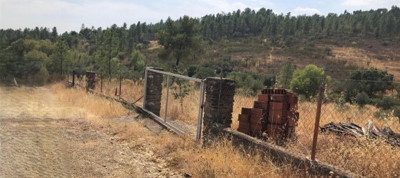 Grundstück in Idanha a Nova, Portugal 3000m², Nr. 309564 6