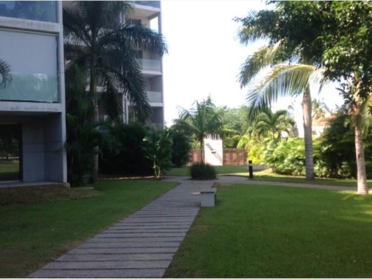 Estudio en Guerrero, Mexico No. 176822