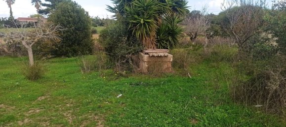 2 rooms House in Pachino, Italy No. 155044 4