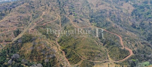 4 bedrooms House in Palmela, Portugal No. 137077 15