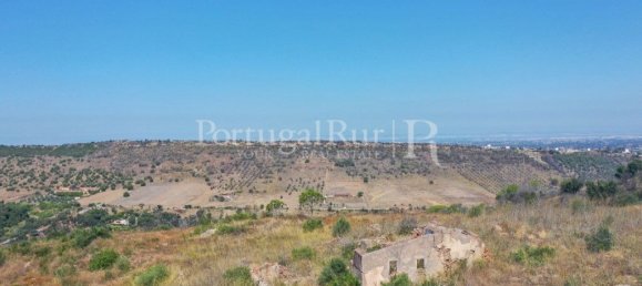 4 bedrooms House in Palmela, Portugal No. 137077 5