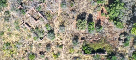 4 bedrooms House in Palmela, Portugal No. 137077 14