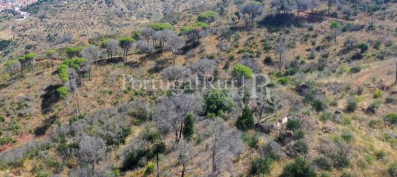 4 bedrooms House in Palmela, Portugal No. 137077 12