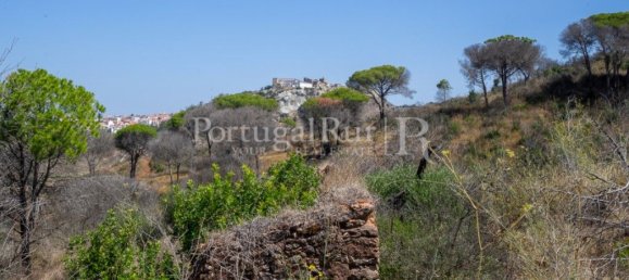 4 bedrooms House in Palmela, Portugal No. 137077 13