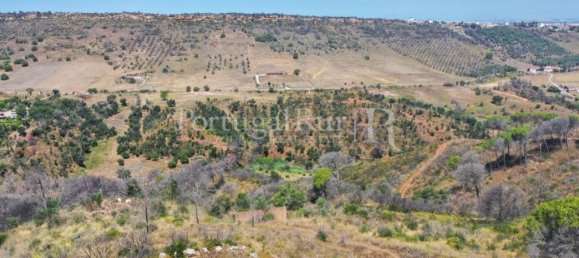 4 bedrooms House in Palmela, Portugal No. 137077 8