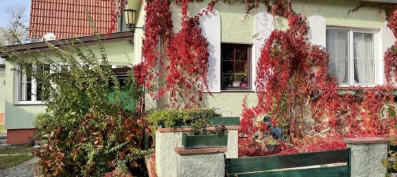 13 rooms House in Bad Voslau, Austria No. 192578 2