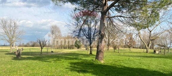9180m² Land in Ferrara, Italy No. 114376 6