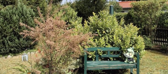 Grundstück in Leipzig, Germany, Nr. 244049 9