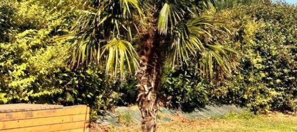 5 bedrooms House in Seine-Maritime, France No. 354192 14