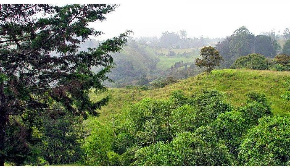 Terreno en Antioquia, Colombia No. 786