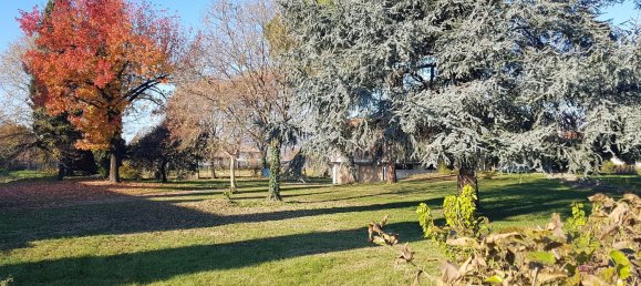 8 rooms Villa in Cassola, Italy No. 142160 2