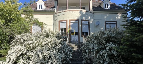 8غرفة عقار تجاري في Teltow-Flaming, Germany رقم 342911 3