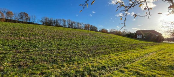Casa de 14 dormitorios en Scharten, Austria No. 109438 15