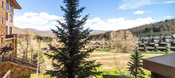 36.08m² Cafe / restaurant in Snowmass Village, USA No. 560276 8