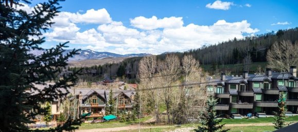 36.08m² Cafe / restaurant in Snowmass Village, USA No. 560276 10