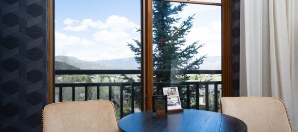 36.08m² Cafe / restaurant in Snowmass Village, USA No. 560276 2