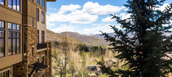 36.08m² Cafe / restaurant in Snowmass Village, USA No. 560276 9