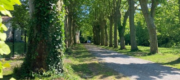 Дом с 6 спальнями в Дакс, Франция № 319571 2