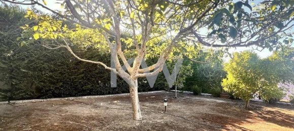 4 bedrooms House in Palmela, Portugal No. 144714 2