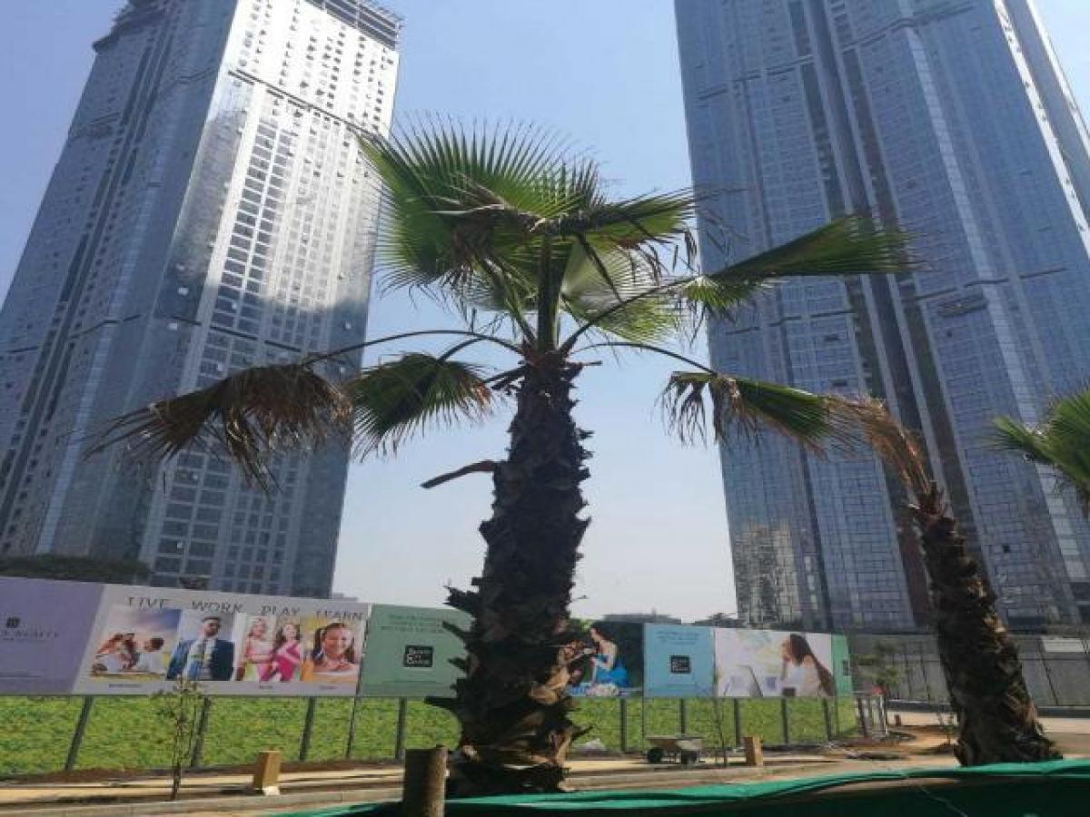 استوديو في Mumbai, India رقم 15563