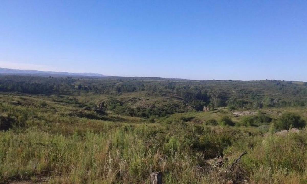 Grundstück in Cordoba, Argentina, Nr. 49119