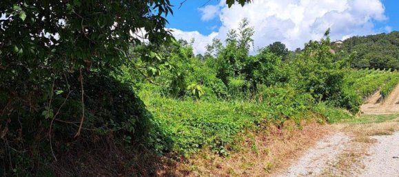 Terrain à Langenzersdorf, Austria No. 246663 4