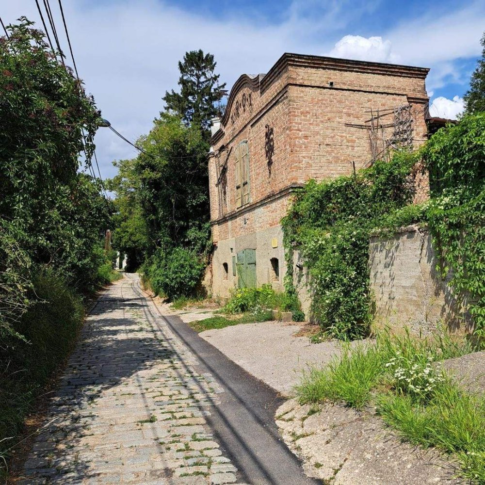 Terrain à Langenzersdorf, Austria No. 246663