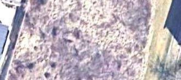 Terrain à Langenzersdorf, Austria No. 246663 3