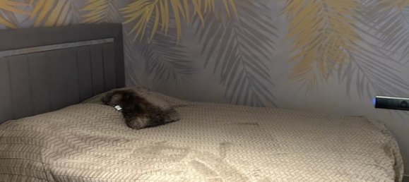 Apartment 2+1 in Konakli, Turkey No. 16494 8