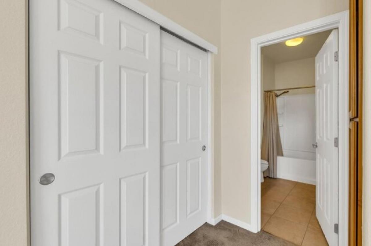 Studio in Elk Grove, USA No. 439669