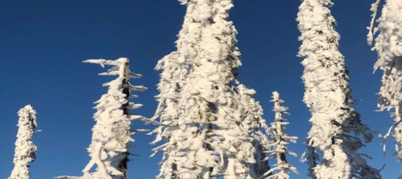 2 bedrooms Apartment in Cham, Germany No. 218098 4