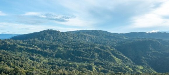  قطعة أرض في Puerto Jimenez, Costa Rica رقم 1806 3