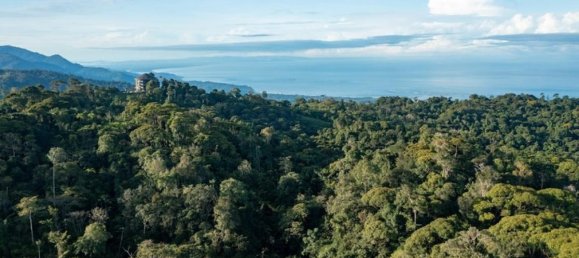  قطعة أرض في Puerto Jimenez, Costa Rica رقم 1806 5