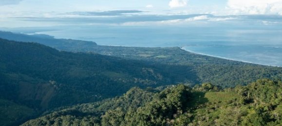  قطعة أرض في Puerto Jimenez, Costa Rica رقم 1806 2