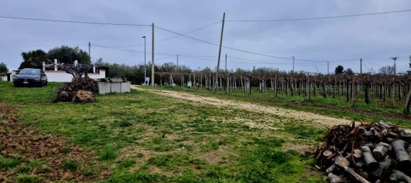 9-Zimmer Villa in Casalbordino, Italy, Nr. 64022 28