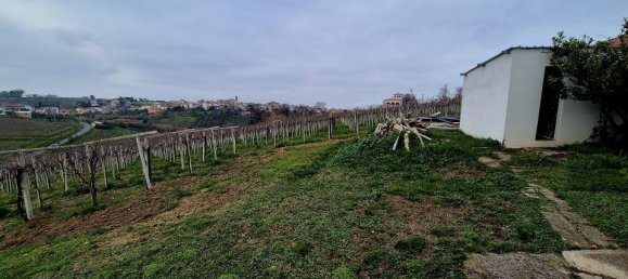 9-Zimmer Villa in Casalbordino, Italy, Nr. 64022 27