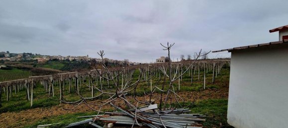 9-Zimmer Villa in Casalbordino, Italy, Nr. 64022 23