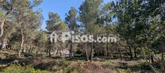 Terreno en Corbera de Llobregat, Spain No. 179170 9