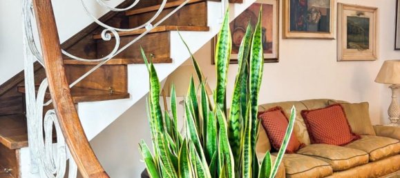 4 bedrooms House in Empoli, Italy No. 362505 13