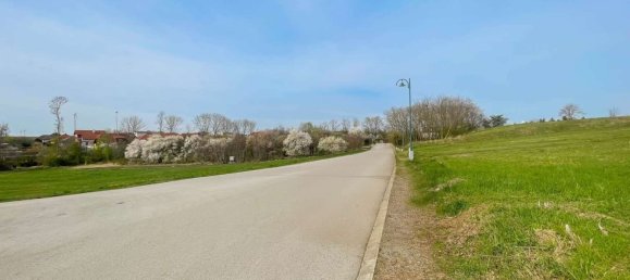 Grundstück in Prellenkirchen, Austria, Nr. 131409 6