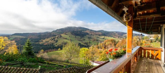 9 bedrooms House in Lorrach, Germany No. 292365 6