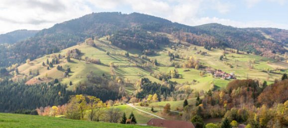 9 bedrooms House in Lorrach, Germany No. 292365 7