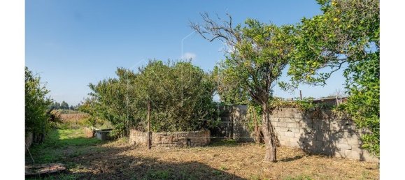 2 bedrooms House in Aveiro, Portugal No. 153464 7